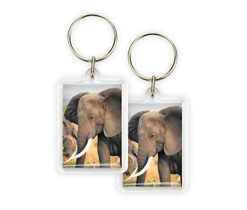 Sleutelhanger, Olifant