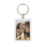 Keyring, Elephant