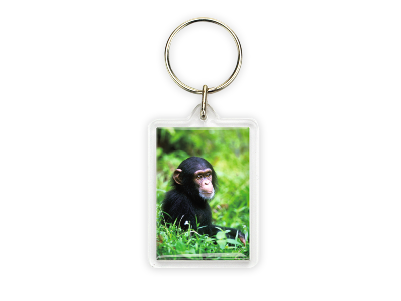 Schlüsselbund, Schimpansenbaby