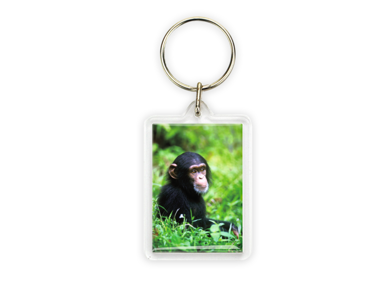 Sleutelhanger, Baby Chimpansee