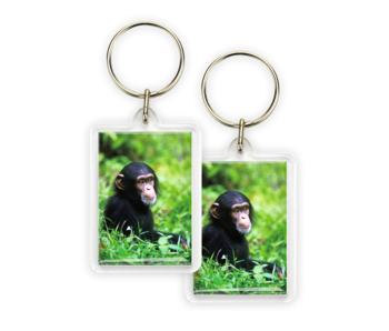 Keyring, Baby Chimp