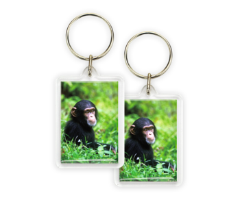 Porte-clés, bébé chimpanzé