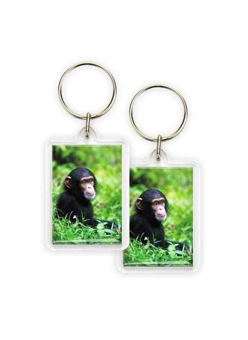 Porte-clés, bébé chimpanzé