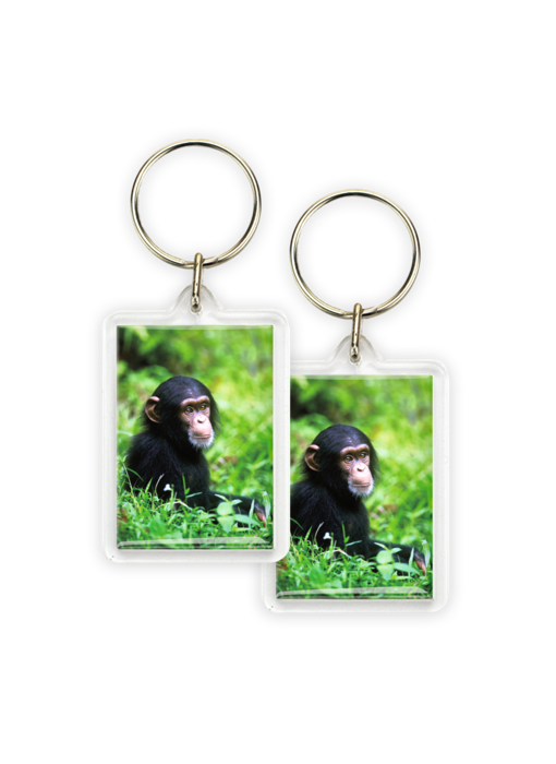 Sleutelhanger, Baby Chimpansee