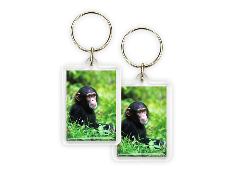 Keyring, Baby Chimp