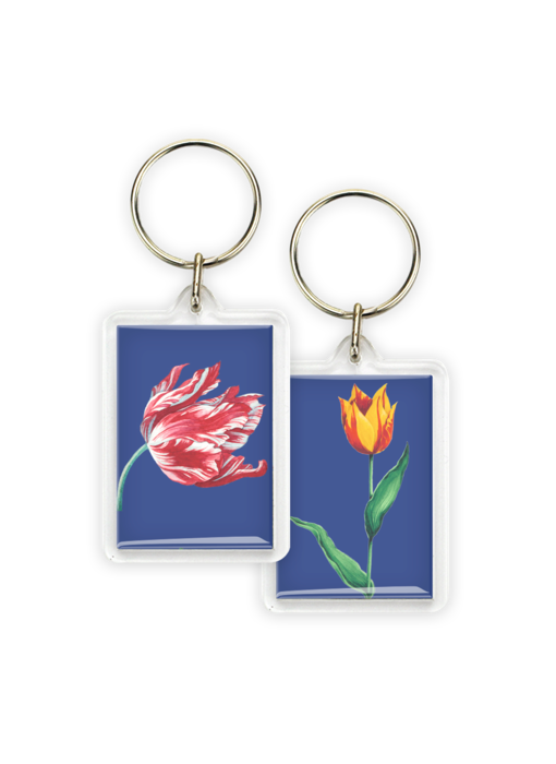 Keyring, Red and yellow tulip