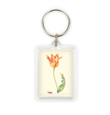 Keyring, Tulip with snail