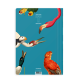 Portfolio with elas.tic closure A4 , Bird life, Teylers Museum