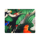 Mouse Pad,  Bird life, Teylers Museum