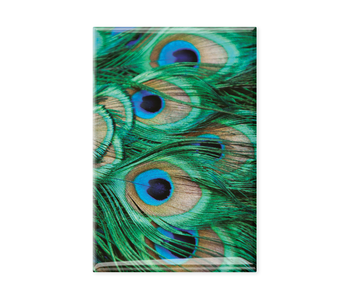 Fridge Magnet, peacock feathers