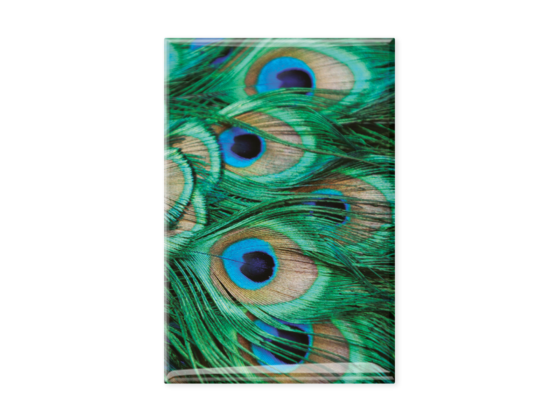 Fridge Magnet, peacock feathers