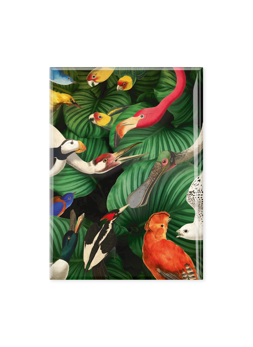 Fridge magnet XL, Bird life, Teylers Museum