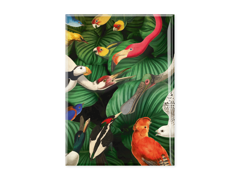 Fridge magnet XL, Bird life, Teylers Museum