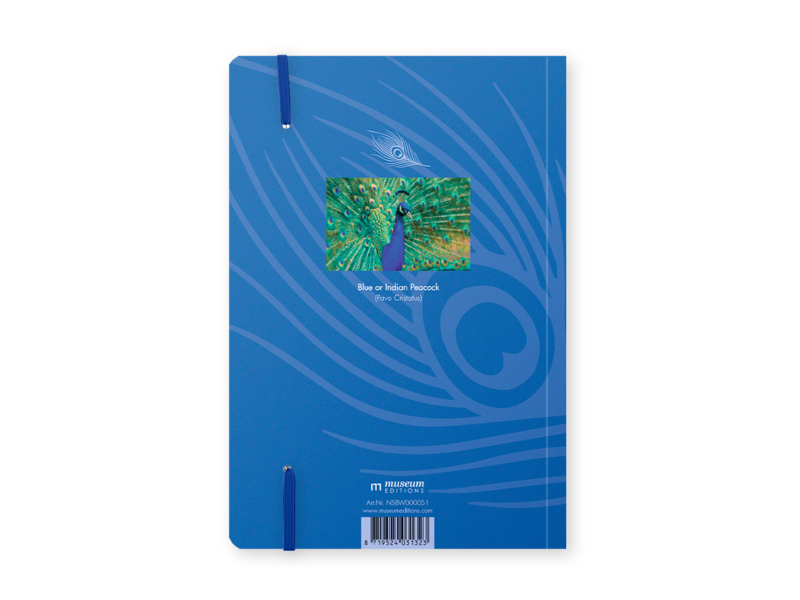 Cuaderno de tapa blanda, A5, plumas de pavo real