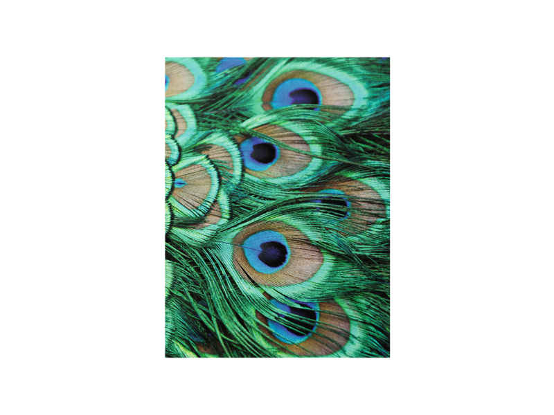 Softcover art sketchbook, peacock feathers