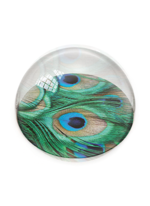 Glass Dome,  peacock feathers