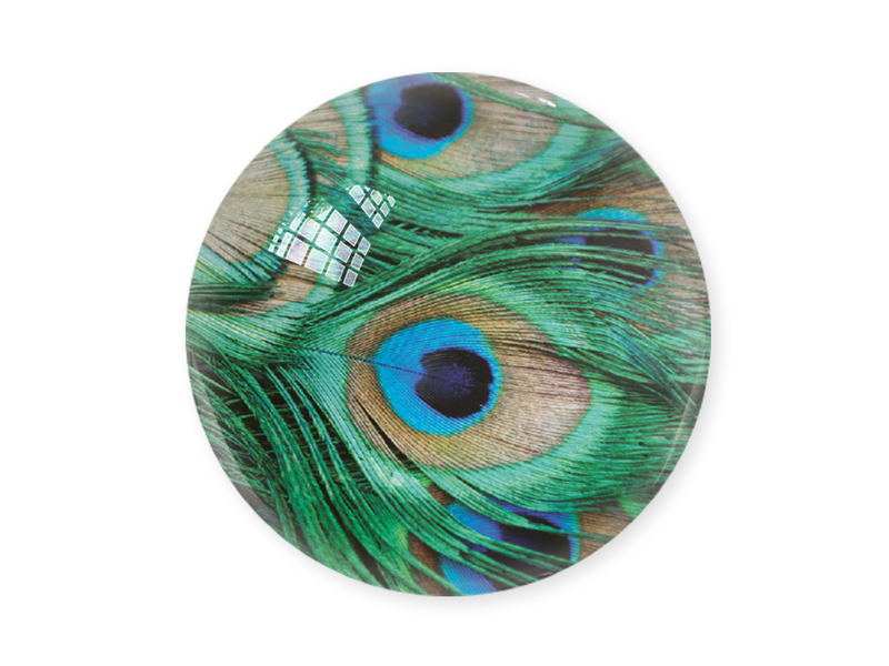 Paperweight, peacock feathers