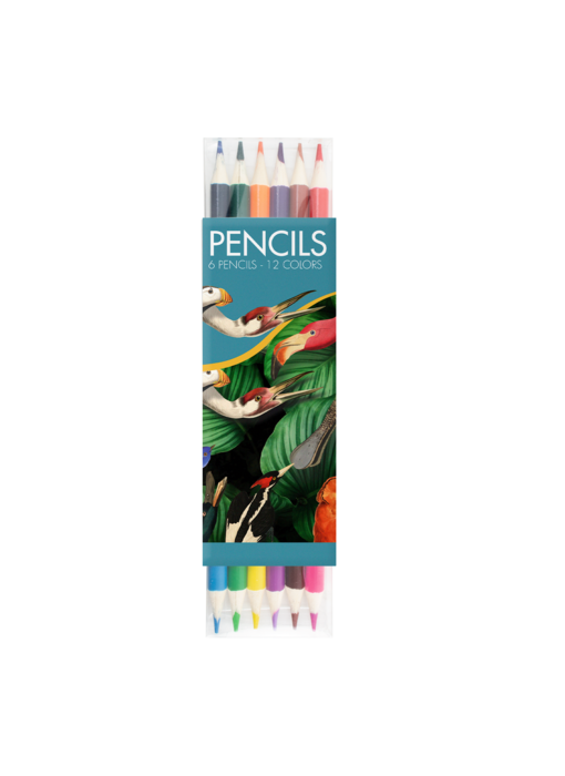 Colouring Pencil Flat Pack, Teylers Museum, Birdlife