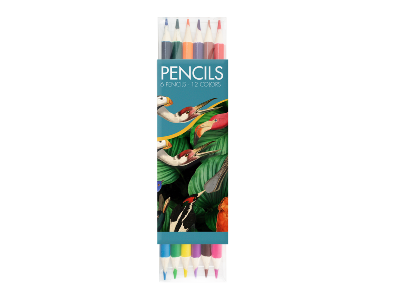 Ensemble de crayons de couleur, Oiseaux, Musée Teylers