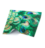 Lens cloth, 15 x 15 cm, peacock feathers