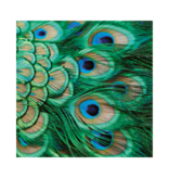 Sjaal zijde chiffon, 68x68 cm, Pauwen veren