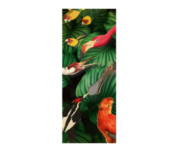Scarf silk chiffon , Teylers, Bird Life 100 x 40 cm