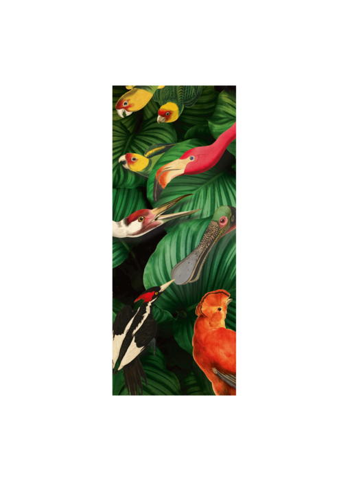 Scarf silk chiffon , Teylers, Bird Life 100 x 40 cm