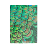 Funda portadocumentos, A4,  plumas de pavo real