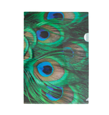 Funda portadocumentos, A4,  plumas de pavo real