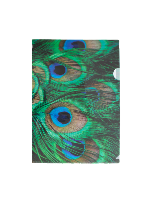 File Sheet A4, Peacock feathers