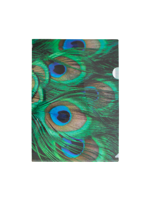 Funda portadocumentos, A4, plumas de pavo real