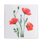 Chiffon de nettoyage, 18x18 cm, Coquelicots