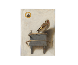 Reproduction A4, Goldfinch, Carel Fabritius | Museum Webshop