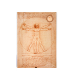 Reproduction A4, Da Vinci, homme de Vitruve