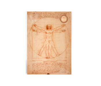 Reproduction A4,  Da Vinci, Vitruvian Man