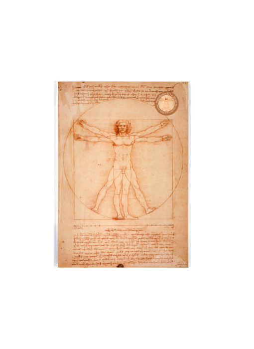 Mini  Poster A4,  Da vinci, Mens van Vitruvius