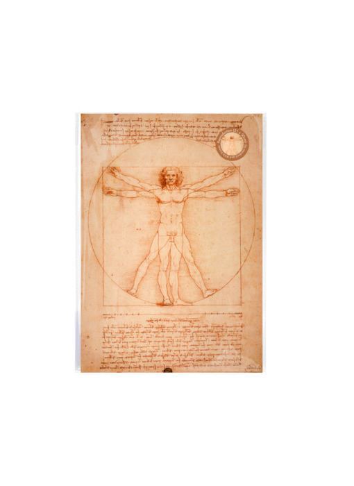 Reproduction A4, Da Vinci, homme de Vitruve