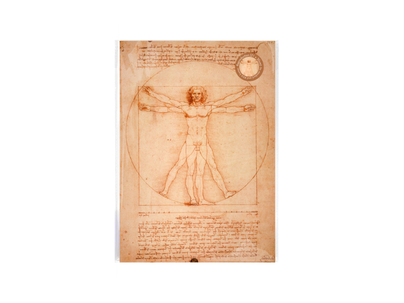 Reproducción A4,  Da Vinci, hombre de Vitruvio