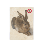 Reproduction A4, Dürer, Hare