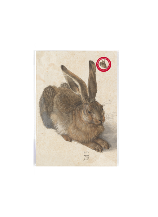 Reproduktion A4, Dürer, Feldhase