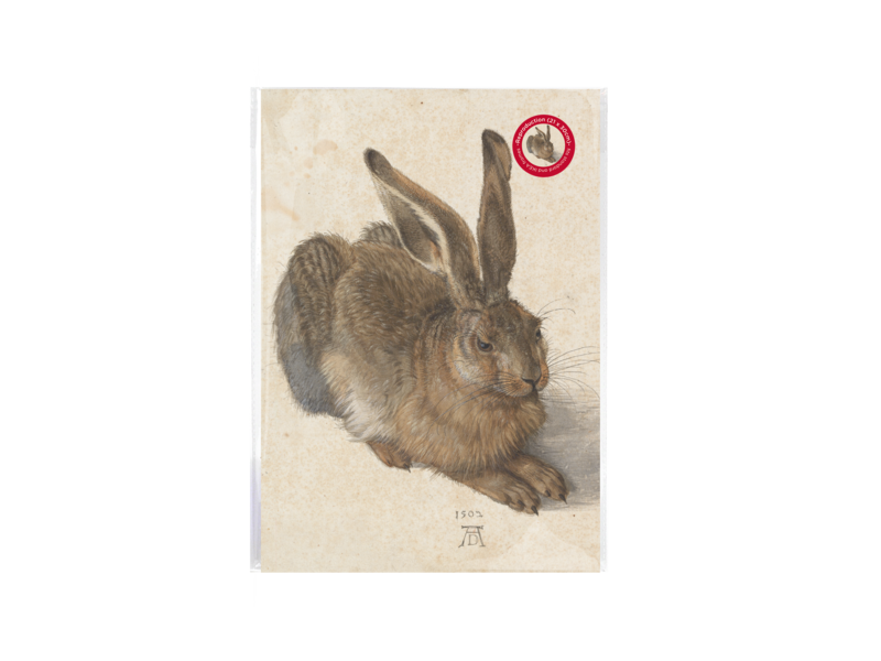 Reproduction A4, Dürer, Hare