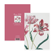 Exercise book , A5, Merian, Three Tulips