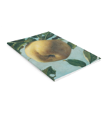 Cuaderno, manzana, cocinero