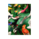 Paño de cocina, Aves