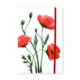 Softcover Books A5 ,  Poppies