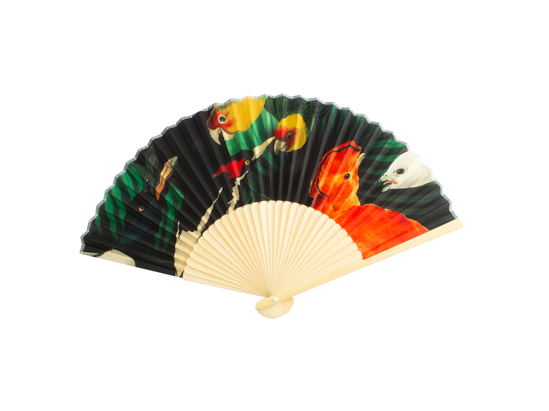 Fan W, Teylers Museum, Birdlife -