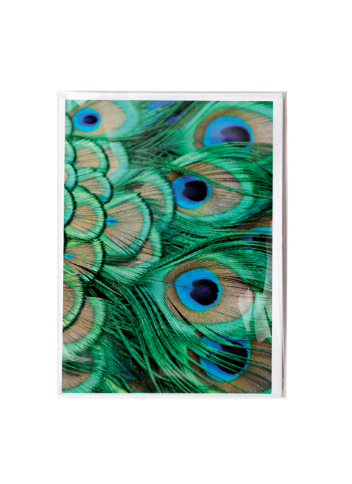 Double card with envelope, Peacock feathers