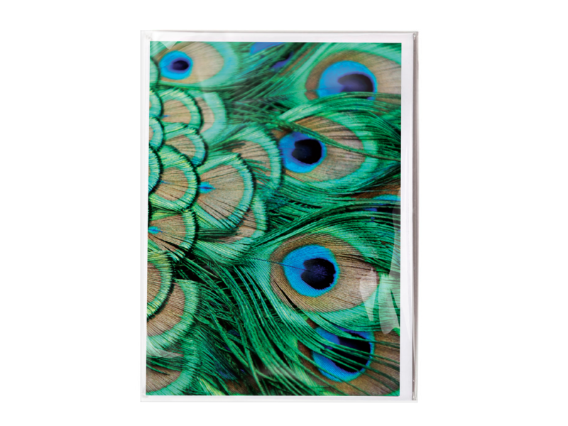 Double card with envelope , Peacock feathers