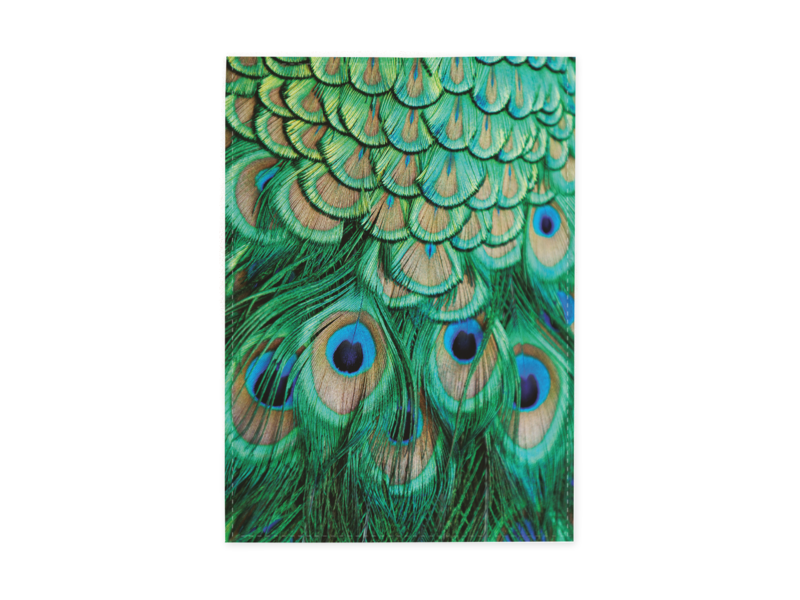 Tea Towel, Peacock feathers