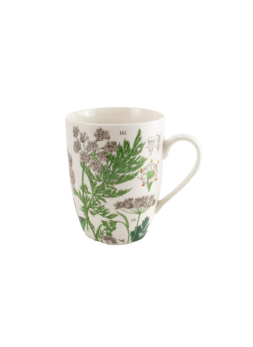 Mug , Elder Leaf, Hortus Botanicus